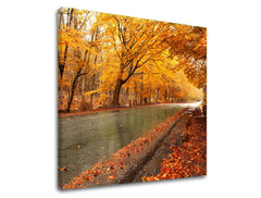 Obraz na stenu STROMY | rôzne rozmery