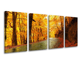 Obraz na stenu STROMY | rôzne rozmery