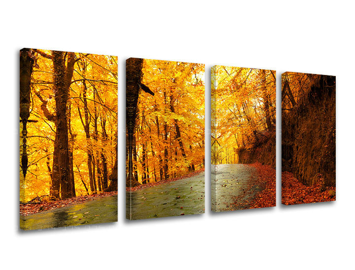 Obraz na stenu STROMY | rôzne rozmery