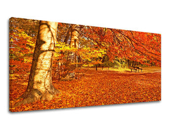 Obraz na stenu PANORÁMA STROMY | rôzne rozmery