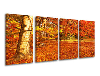 Obraz na stenu STROMY | rôzne rozmery