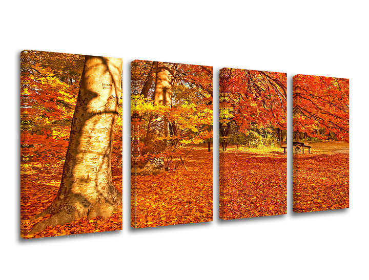 Obraz na stenu STROMY | rôzne rozmery