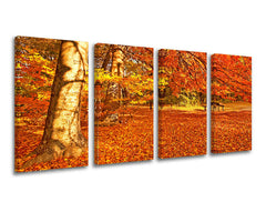 Obraz na stenu STROMY | rôzne rozmery