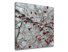 Obraz na stenu STROMY | rôzne rozmery