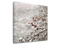 Obraz na stenu STROMY | rôzne rozmery