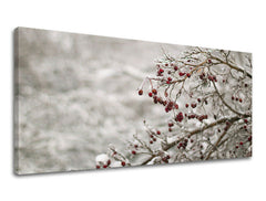 Obraz na stenu PANORÁMA STROMY | rôzne rozmery