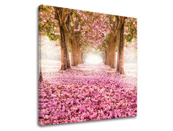 Obraz na stenu STROMY | rôzne rozmery