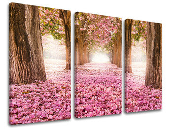 Obraz na stenu STROMY | rôzne rozmery