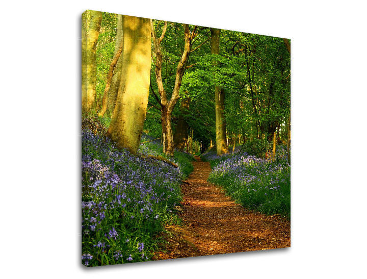 Obraz na stenu STROMY | rôzne rozmery