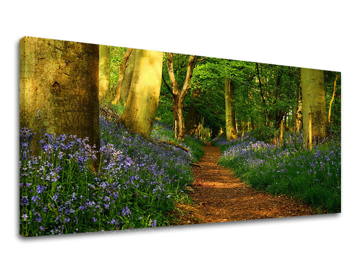 Obraz na stenu PANORÁMA STROMY | rôzne rozmery