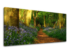 Obraz na stenu PANORÁMA STROMY | rôzne rozmery