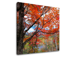 Obraz na stenu STROMY | rôzne rozmery