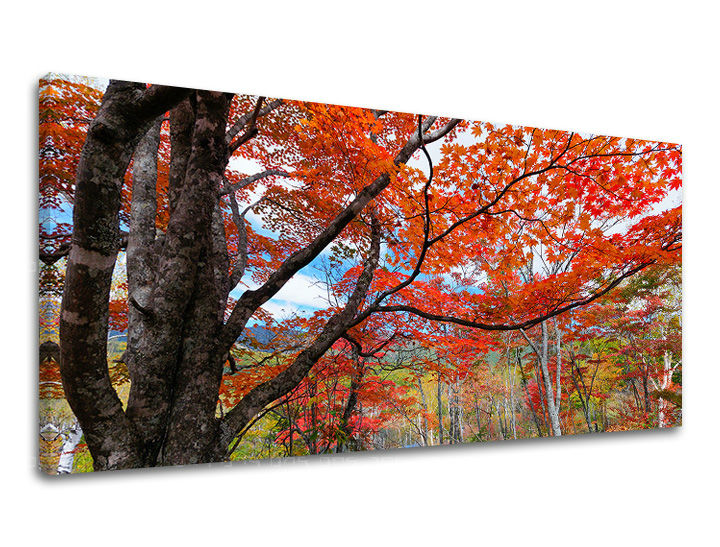 Obraz na stenu PANORÁMA STROMY | rôzne rozmery