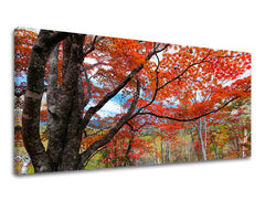 Obraz na stenu PANORÁMA STROMY | rôzne rozmery