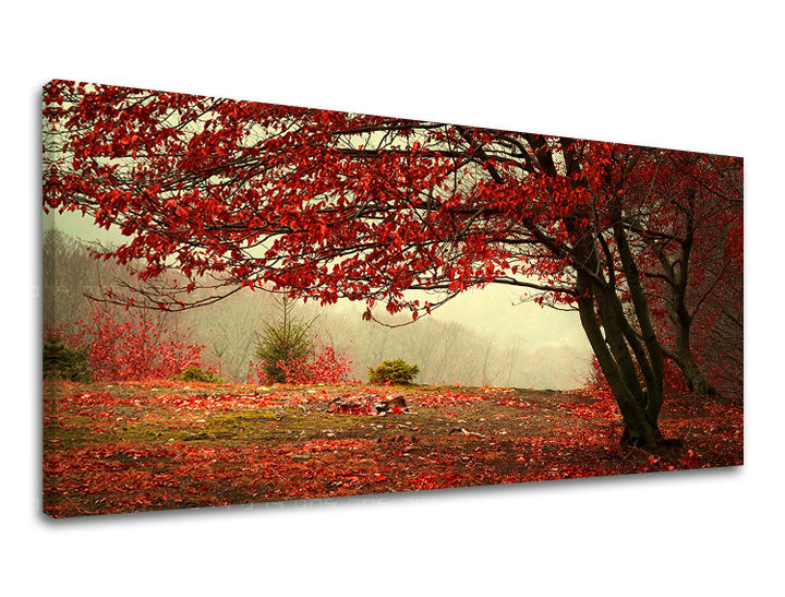 Obraz na stenu PANORÁMA STROMY | rôzne rozmery