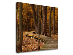 Obraz na stenu STROMY | rôzne rozmery