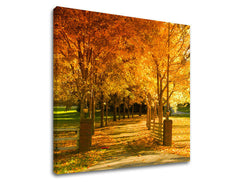 Obraz na stenu STROMY | rôzne rozmery