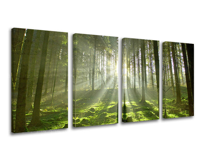 Obraz na stenu STROMY | rôzne rozmery