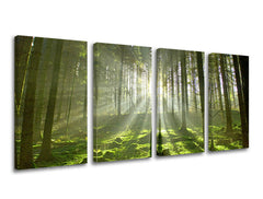 Obraz na stenu STROMY | rôzne rozmery