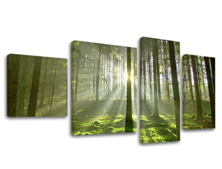 Obraz na stenu STROMY | rôzne rozmery