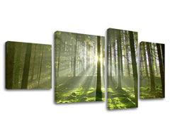 Obraz na stenu STROMY | rôzne rozmery