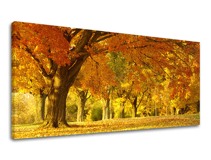 Obraz na stenu PANORÁMA STROMY | rôzne rozmery
