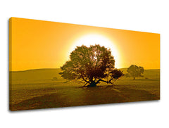 Obraz na stenu PANORÁMA STROMY | rôzne rozmery