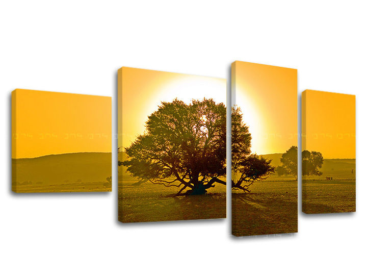 Obraz na stenu STROMY | rôzne rozmery