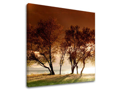 Obraz na stenu STROMY | rôzne rozmery