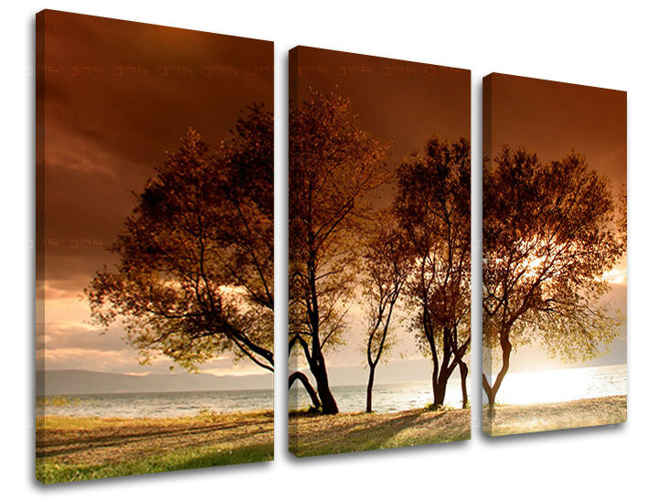 Obraz na stenu STROMY | rôzne rozmery