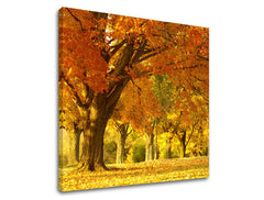 Obraz na stenu STROMY | rôzne rozmery