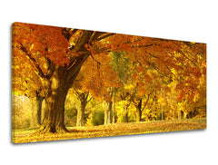 Obraz na stenu PANORÁMA STROMY | rôzne rozmery