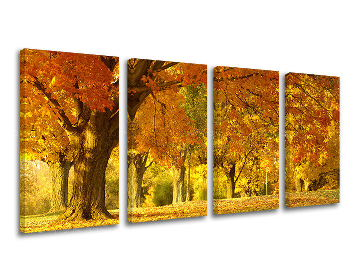 Obraz na stenu STROMY | rôzne rozmery