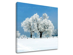 Obraz na stenu STROMY | rôzne rozmery