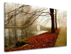 Obraz na stenu STROMY | rôzne rozmery