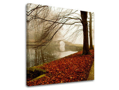 Obraz na stenu STROMY | rôzne rozmery