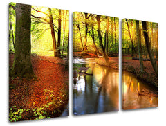 Obraz na stenu STROMY | rôzne rozmery