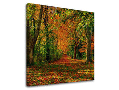 Obraz na stenu STROMY | rôzne rozmery