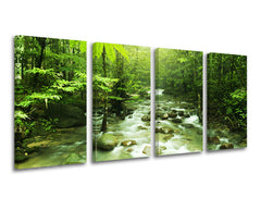 Obraz na stenu STROMY | rôzne rozmery