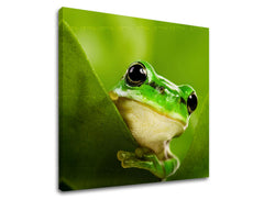 Obraz na stenu ZVIERATÁ | rôzne rozmery