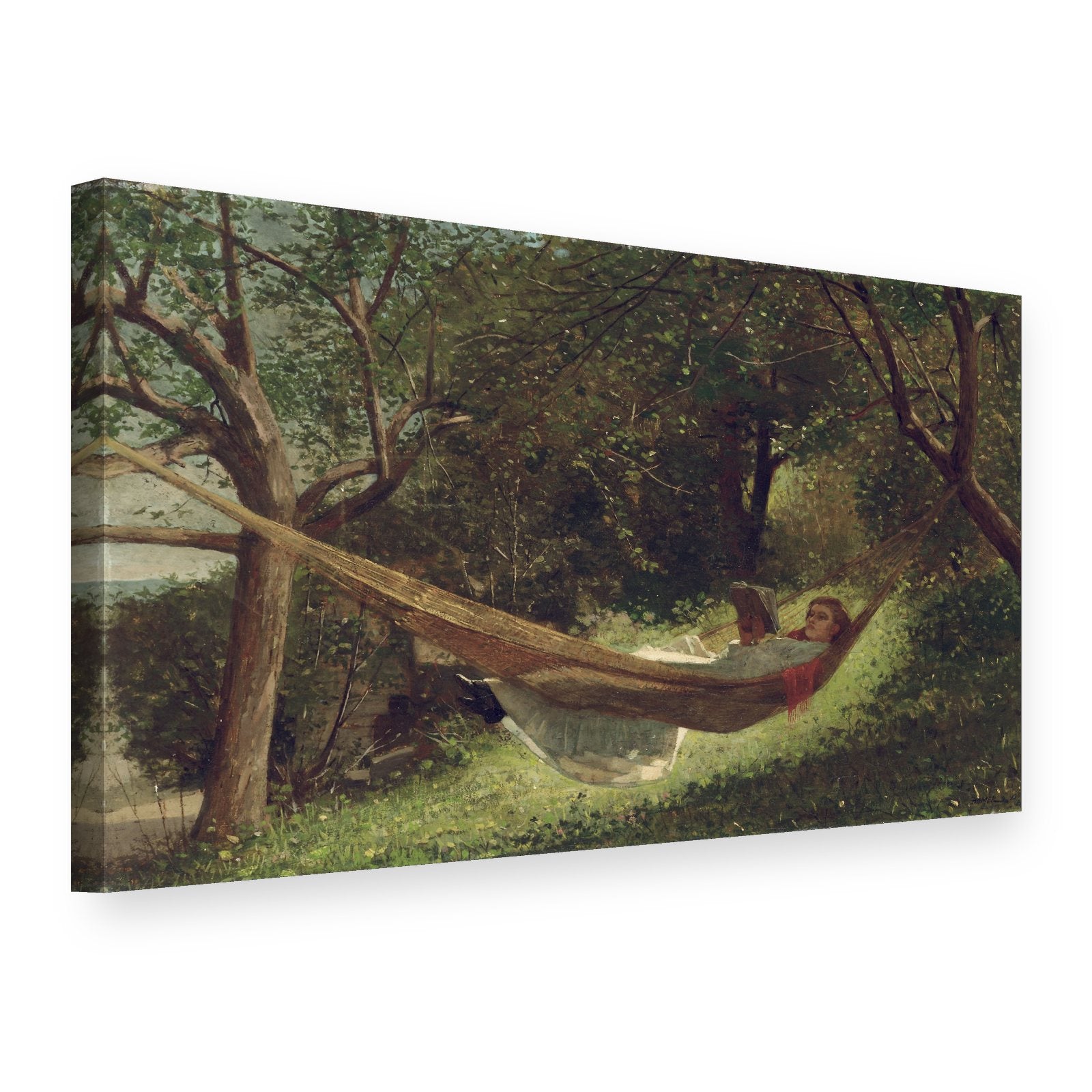 Obraz Dievča v hojacej sieti – Winslow Homer na plátne, 3D pohľad