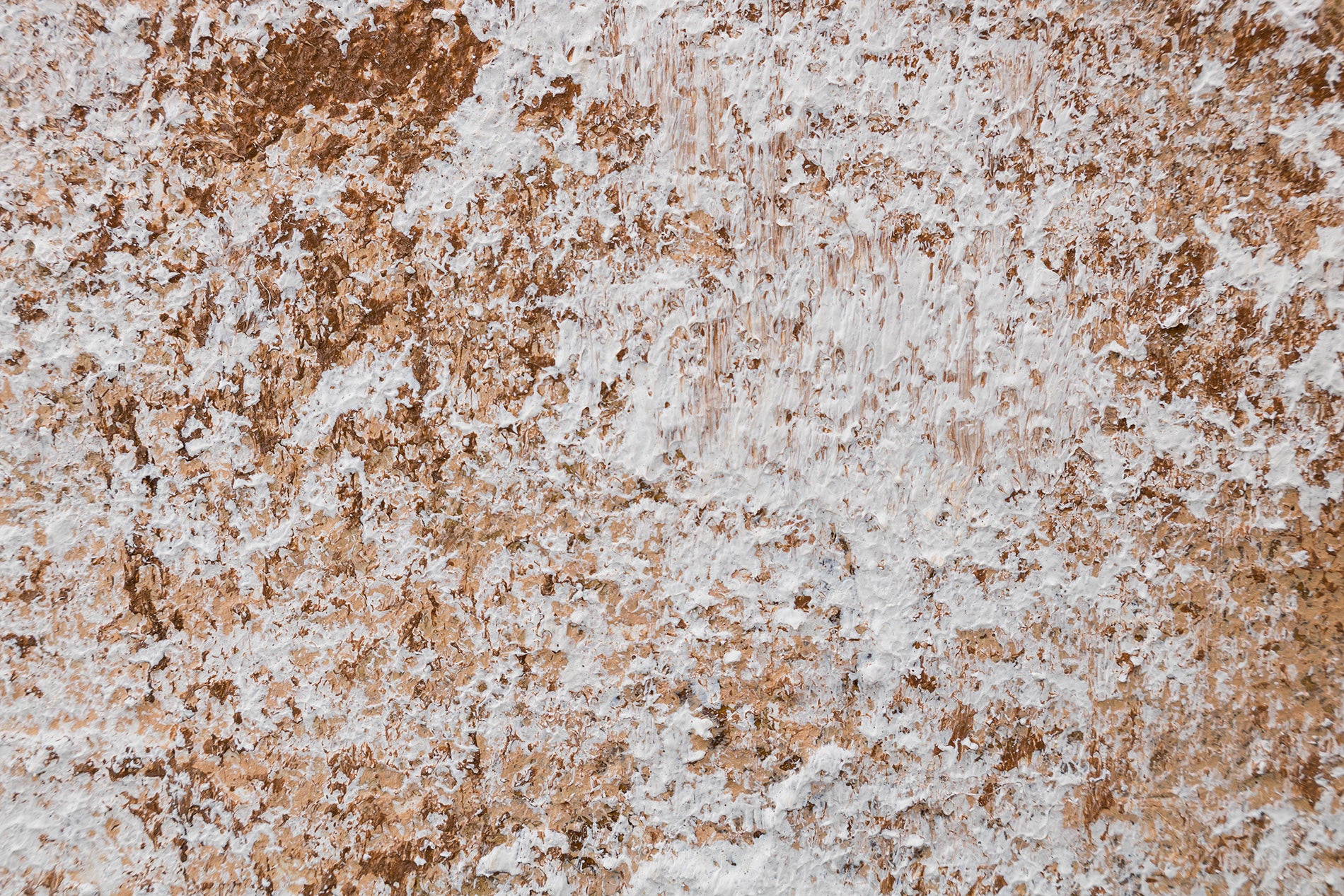 rucne-malovany-obraz-CFAAN016.jpg-4