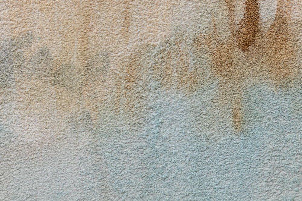 rucne-malovany-obraz-CFAZH601E1.jpg-3