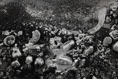 rucne-malovany-obraz-CWF1226WE1.jpg-3