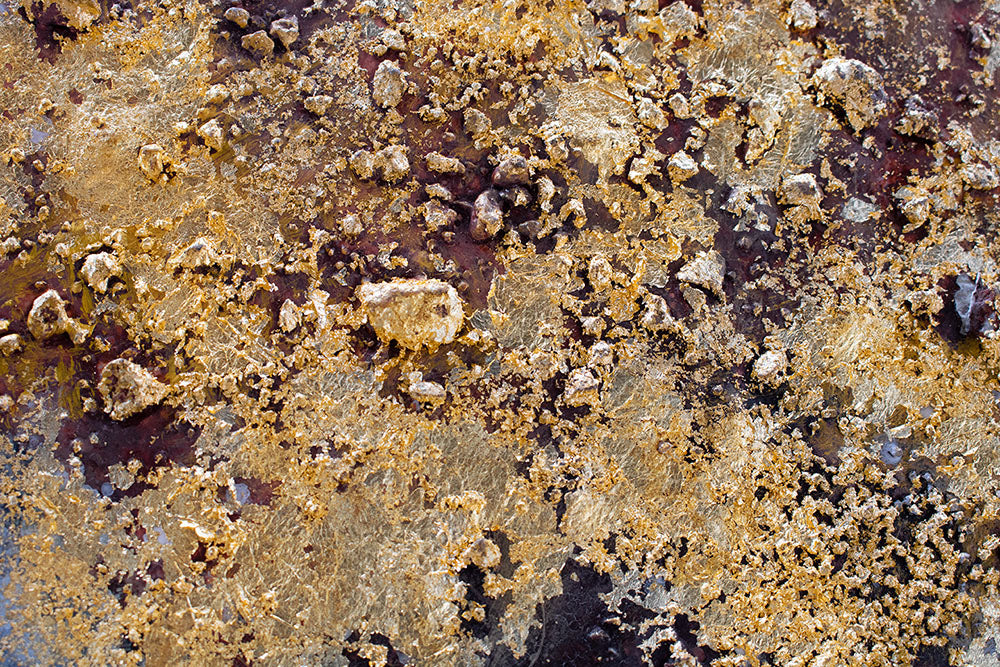 rucne-malovany-obraz-CWF1584HE1.jpg-1