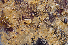 rucne-malovany-obraz-CWF1584HE1.jpg-1